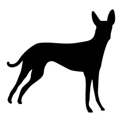Dog Silhouette Collection Vector 