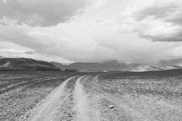 country road in the field. black and white toned image 