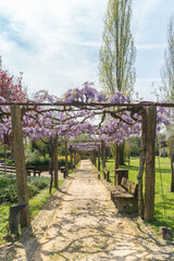 Arnado Park in Ponte de Lima. Portugal. This Park is an integral part of the project to enhance the banks of the River Lima and it is intended to be both cultural and recreational