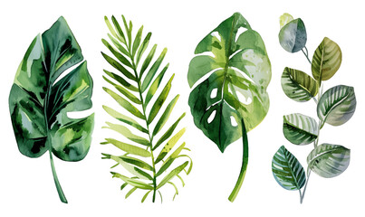 Exotic watercolor tropical leaves and plants background - obrazy, fototapety, plakaty