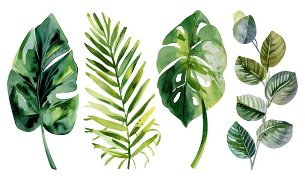 Exotic watercolor tropical leaves and plants background