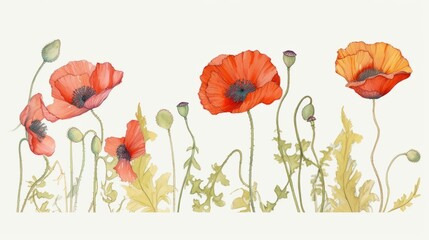Poppy flowers, watercolor. Generative AI