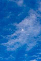 Obraz na płótnie Canvas 青空と雲の中に月20231003