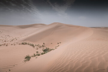 Sand dunes in the Gobi Desert in Inner Mongolia, China