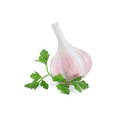 Fresh garlic head and parsley isolated on white