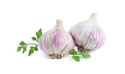 Fresh garlic heads and parsley isolated on white