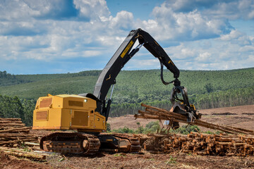 Fototapeta na wymiar Harvester Forest Machine Logging Equipment 