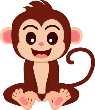 Cute monkey sitting