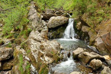 Mountain stream cascading into stone bowls in a dense forest on a summer day.