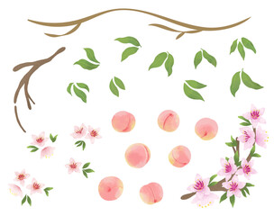 水彩風_桃・ピーチのイラストパーツ素材
