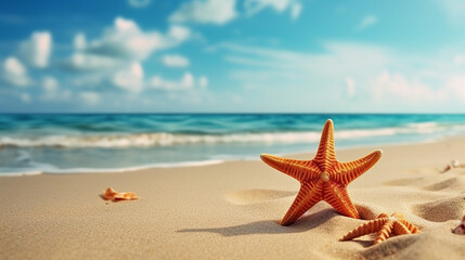 Fototapeta na wymiar starfish and seashell on the summer beach in the water with blue sky
