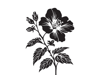 Silhouette Of Hibiscus Flower isolated on white. Minimalist African flower  illustration