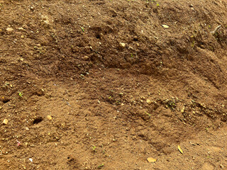 soil