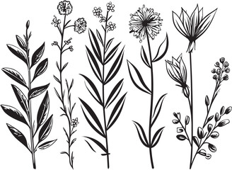 Enchanted Blooms Elegant Black Vector Logo with Florals Floral Tapestry Monochromatic Emblem of Botanical Elements