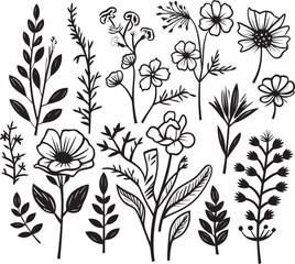 Sculpted Petals Elegant Black Icon, Botanical Design Whispers of Nature Vector Logo, Black Botanical Florals