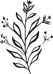 Botanical Beauty Monochrome Emblem Illustrating Black Floral Design Whispers of Nature Sleek Icon with Vector Logo of Botanical Florals