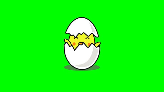 Cute Chicken Hatching From Egg 2D Animation with a green background