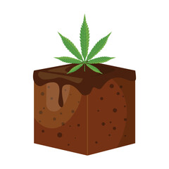 Hemp brownies. Delicious dessert with marijuana, cannabis, hemp isolated on white background. Vector illustration in cartoon realistic style.