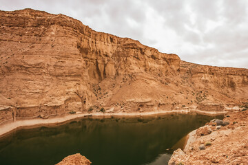 Desert Landscape Background