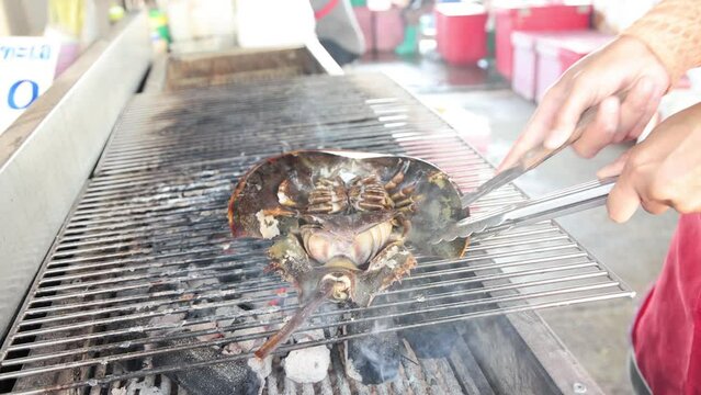 Grilling a Horseshoe Crab