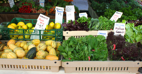 Organic vegetables and herbs on the table at farmer's market. Self employment. Local small business...