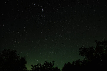 Green-blue sky filled with stars and tree shadows.