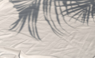 Curtain white wave and soft shadow of palm leaves. abstract background on isolated with shade leaf tropical and copy space.