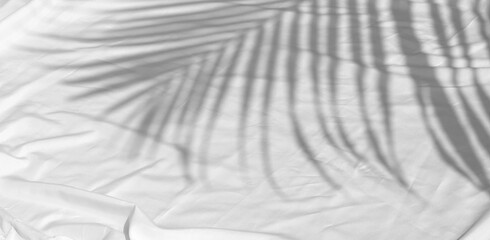 Curtain white wave and soft shadow of palm leaves. abstract background on isolated with shade leaf tropical and copy space.