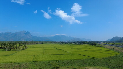 Nanjinaad paddy field and western ghats mountain range kanyakumari, Tamil Nadu