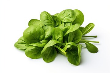 organic fresh vegetables,fresh baby spinach leaves on white backgroundl, 