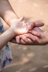 Little kid holding family member mother hand as a together family