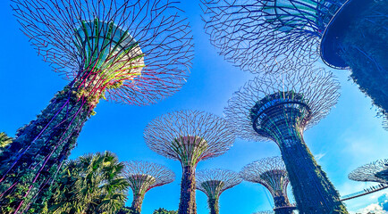 Supertree Grove at Gardens by the Bay from below angle.