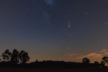 Comet streaking across a star-filled night sky.