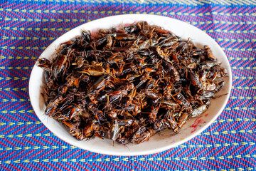 Pile of fried crickets in a white plate placed on a mat. Fried insects are high in protein.