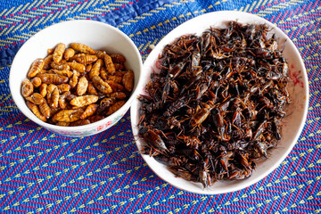 Lots of crispy fried crickets and chrysalis in a white place placed on a mat. Fried insects are a food that is very high in protein.