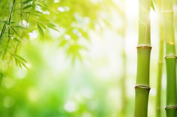 Fototapeta na wymiar Summer Splendor: Embracing the Enchanting Beauty of Green Bamboo Leaves in Your Garden. Generative AI.