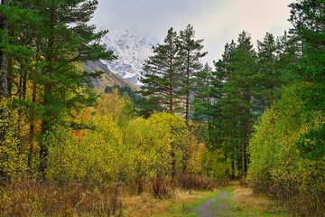 Fototapeta na wymiar Forest trail path to the Cheget Glade in autumn