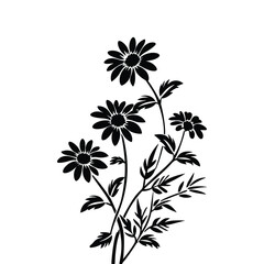 Elegant black silhouette of daisies with detailed petals and leaves against in white background