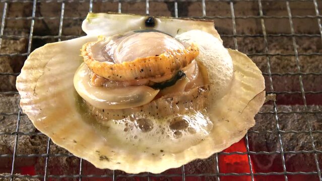 汁が沸騰する、炭火で焼く殻付きホタテのクローズアップ  4K   2024年1月13日