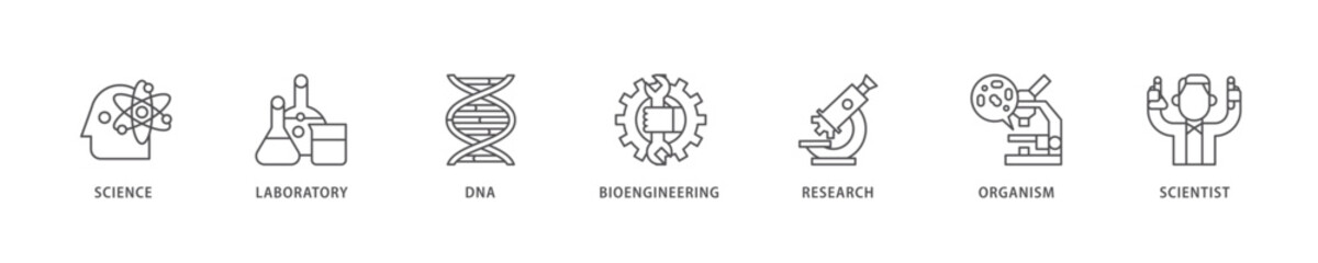 Biotechnology icon set flow process which consists of scientist, bioengineering, organism, research, dna, laboratory, science icon live stroke and easy to edit 