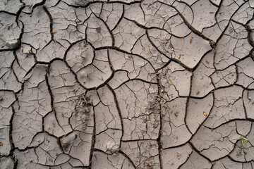 Brown dried out earth with cracks