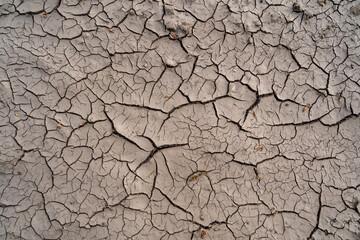 Brown dried out earth with cracks