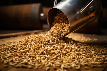  Beer malt is poured in bulk, scoop on the grains © Eyepain