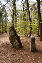 Hinkelstein monument next to a walking path on a spring day in the Palatinate Forest of Germany.