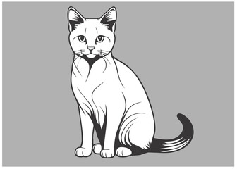 cute kitten, isolated vector silhouette, on white background