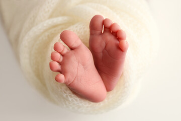 The tiny foot of a newborn baby. Soft feet of a new born in a wool white blanket. Close up of toes, heels and feet of a newborn. Macro photography.