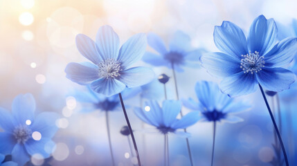 A field of delicate blue flowers under a dreamy bokeh light, creating a serene and enchanting floral scene.