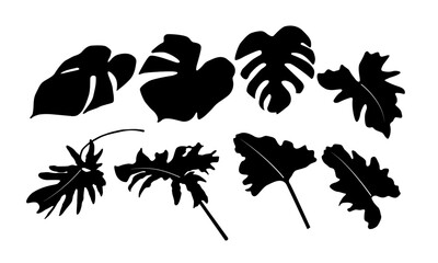 silhouette Monstera deliciosa set	
