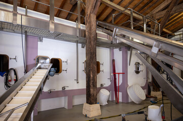Concrete tanks for first fermentation of grapes, Bordeaux Saint-Emilion wine making region picking, sorting with hands and crushing Merlot or Cabernet Sauvignon red wine grapes, France