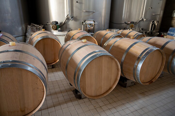 French oak wooden barrels for aging red wine in cellar, Saint-Emilion wine making region picking,...